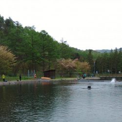 水面が熱い！ ～平谷湖フィッシングスポット～